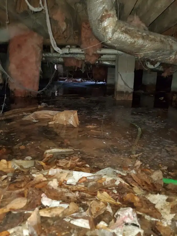 Crawl space flood assessment for Leak Detection & Repair in Pleasantville